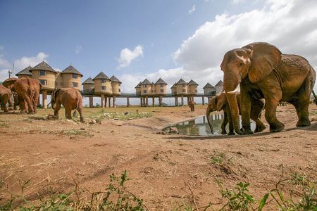 3 Days Tsavo East and Saltlick Lodge Safari from Diani Beach