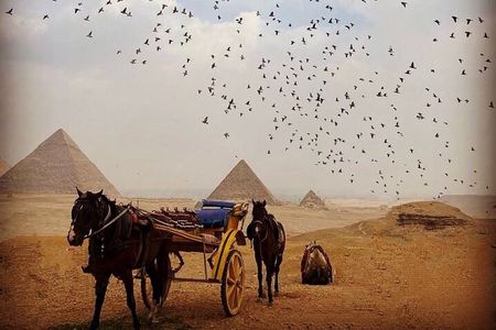 Giza pyramids Tour with horse drawn carriage or camel ride