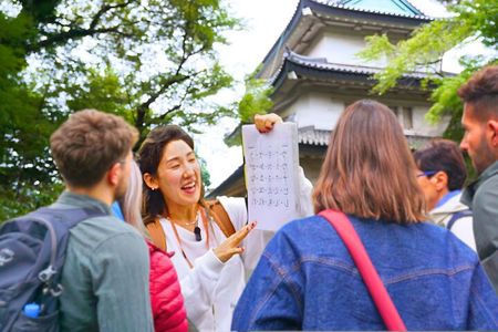 Tokyo Castle, Imperial Palace, Shogun & Garden Walking Tour