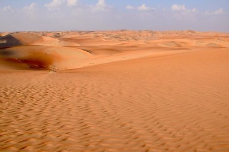 Full Day Liwa Desert Safari Trip and Explore Empty Quarter