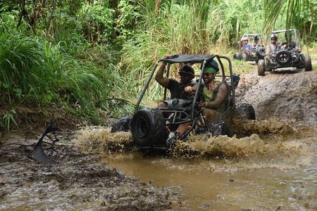 Roatan Sloth Off Road Buggy Mud Adventure + Beach(Beers & Snacks)
