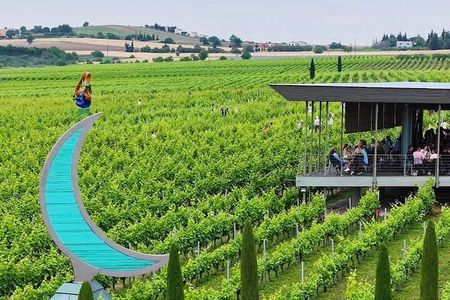 Private Tour from Vineyards to seaside Bliss in Thessaloniki