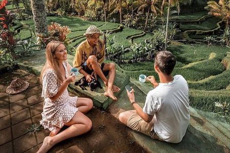 Bali private Shore Excursion from Benoa Port - All Inclusive