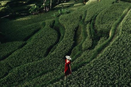 Bali Benoa Shore Excursion from Benoa Port - All Inclusive