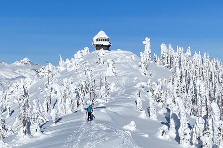 Snowshoe and Scenic Drive Tour in Glacier National Park