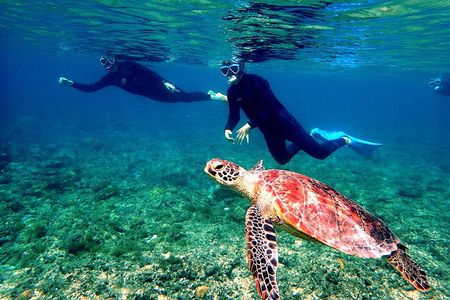 Okinawa：From Naha Full‐Day Kerama Islands Snorkeling Tour