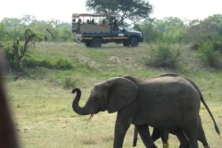 4 Day Kruger National Park Shared Wildlife Adventure