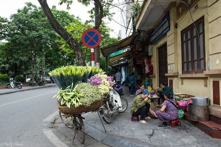 Discover Hanoi’s Heritage: Full-Day Shore Excursion from Halong