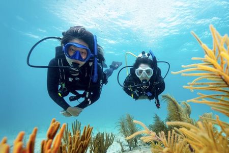 Anguilla Based:Complete your PADI Open Water Dives 3 & 4 with us