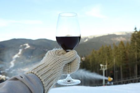 Niagara Wine Tour and Tastings with Transportation 