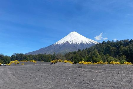 Custom Tour of the Lakes Region in Chile