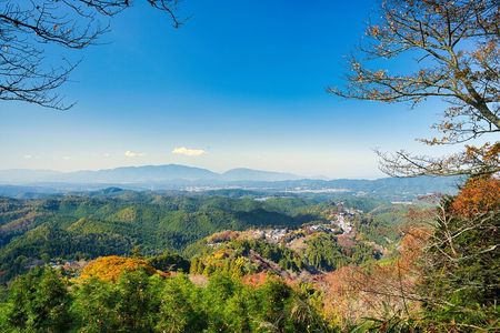 Historic and Natural Guided Hike in Yoshino