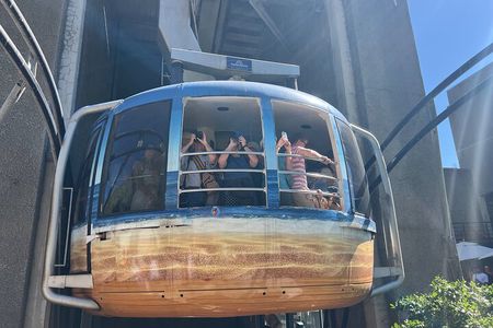 Table Mountain Half-Day Tour with Cable Way Experience