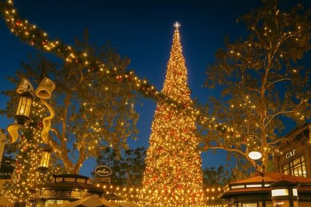 Christmas Lights Tour with Rodeo Drive and The Grove Stops