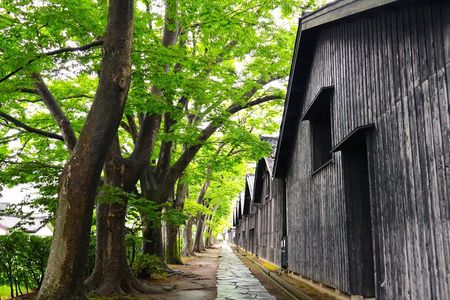 Sakata Private Shore Excursion – Yamagata Highlights