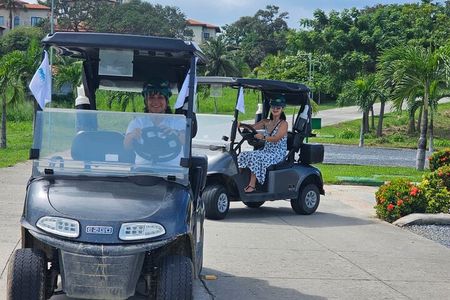 Roatan Sloth Sanctuary, Golf Cart Adventure, Beach Lunch & Drinks