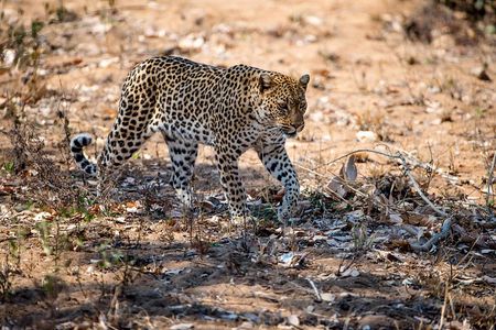 2-Day Nyerere Safari from Dar es Salaam