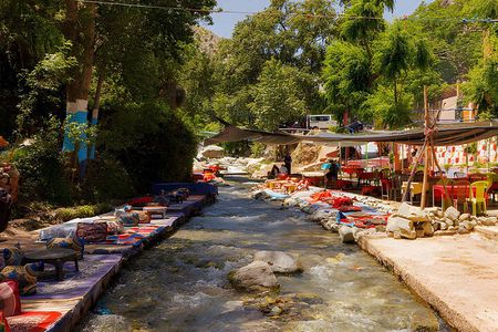 Ourika Valley & Atlas Mountains day trip from Marrakech + Lunch