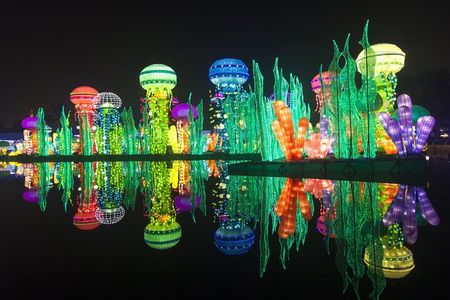 Dubai Garden Glow