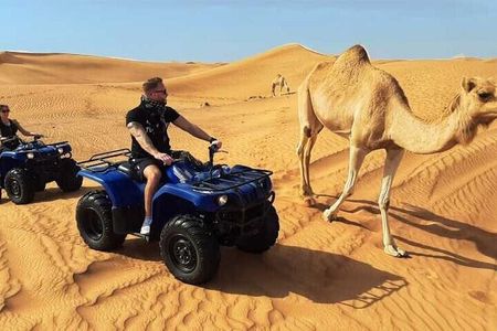 Doha ATV's/Quads/Buggy, Dune Bashing, Camel Ride & Sand Boarding