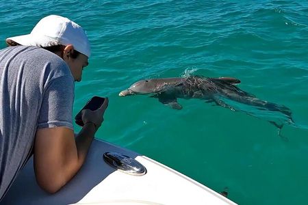 Dolphin Watching and Snorkeling Key West