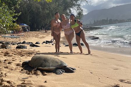 Oahu Family Adventure: Circle Island Tour + Historic Pali Lookout