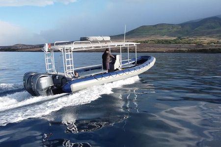 Premiere Whale Watch Kaanapali Beach Departure 
