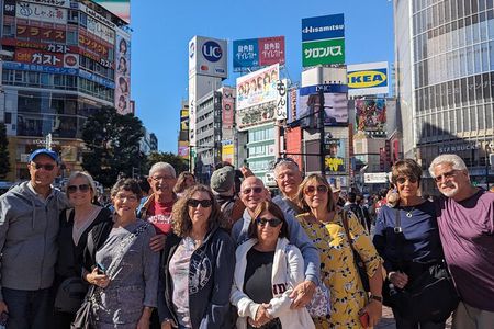 Tokyo Private Car Tour: Professional Guide and Driver/Optional airport xfer