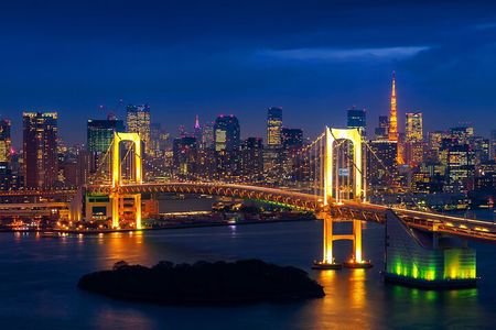 Tokyo Private Sightseeing Tour from Yokohama with Airport Dropoff