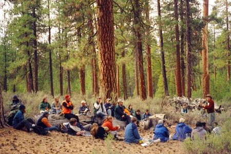 Explore Tahoe Forest Through the Eyes of a Certified Arborist