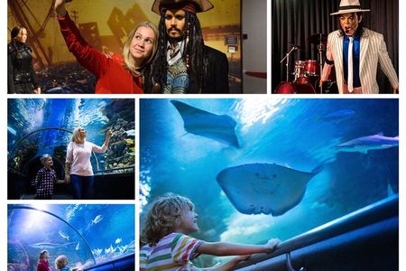 Kemer: Antalya Aquarium Ticket With Optional Transfer