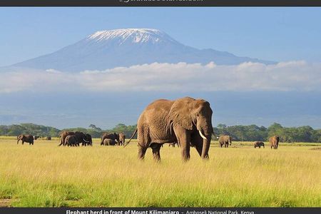 2 Nights 3 days Amboseli National park with 4*4 vehicle