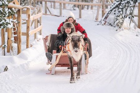 Reindeer Safari at a 200-Year-Old Rovaniemi Farm & Long Sled Ride