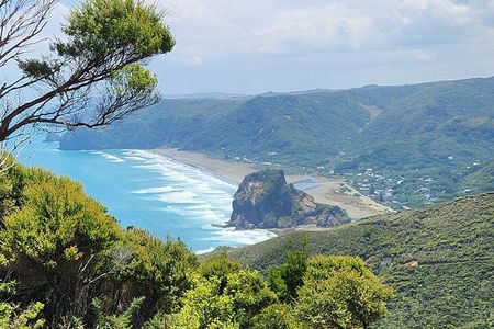 Private Auckland best Spots + Piha beach and rainforest day Tour