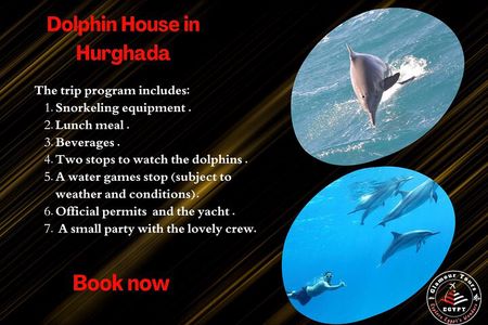 Snorkeling and Swimming at Dolphin House in Hurghada 