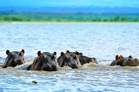 Day Trip Hells Gate Bike Ride and Lake Naivasha Boat Ride