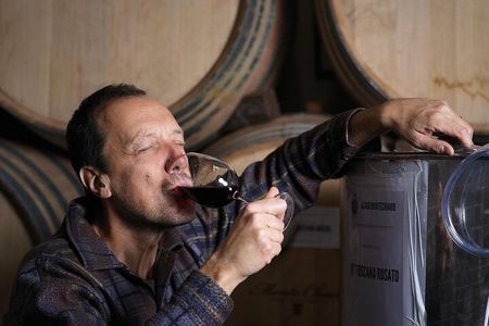 Wine Tour & Tasting - Organic Chianti & Supertuscan