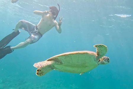 Ishigaki Island Snorkeling Tour - Let's swim with corals and mackerel!!～