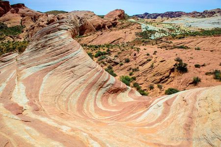 Valley of Fire and Red Rock Canyon 