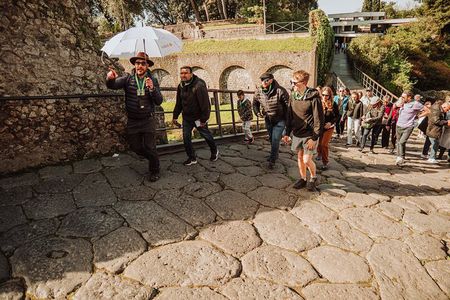 Pompeii Excursion From Sorrento