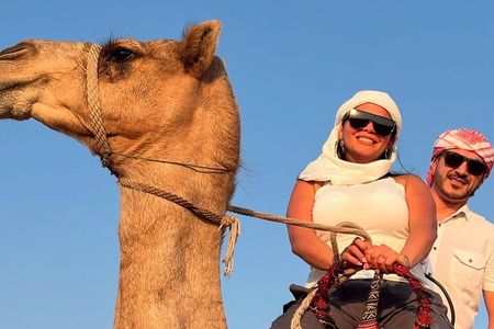 Dubai: Desert Safari Red Dunes 4x4 Pick/drop Camel Dinner Shows