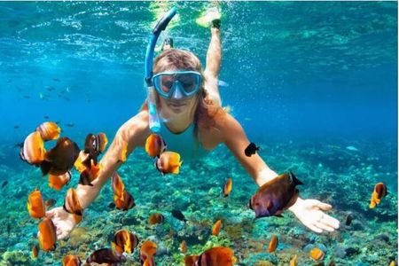 Sosua Snorkeling Adventure Tour with Guide and Gear Included