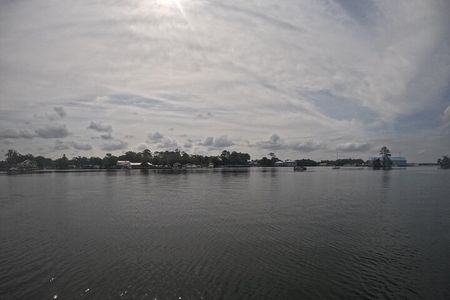 Crystal River: Kings Bay Eco/Sunset Tour