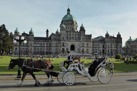 4 Unforgettable Hours in Victoria 