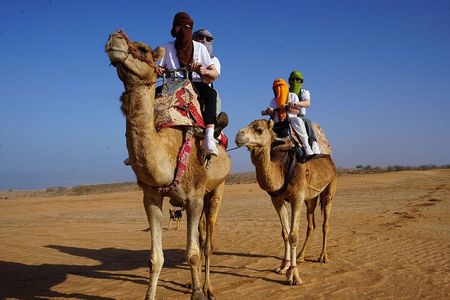 Full-Day Trip to the Small Desert