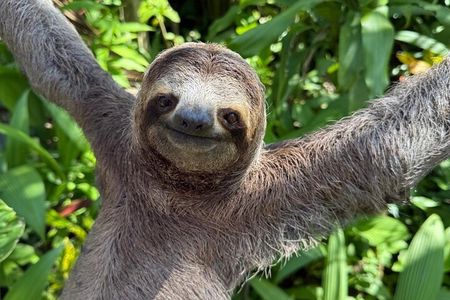 Manuel Antonio National Park : Guided Tour with ADMISSION INCLUDED