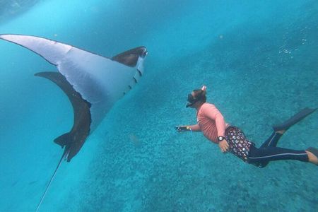 Nusa Penida Snorkeling: Manta Point & Island Day Trip 