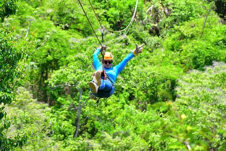 Explore Roatan with Zipline Wildlife and Beaches