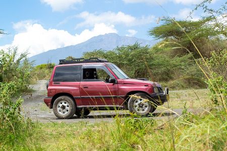 Day Safari to Arusha National Park in ‘Little Red Rover’ 