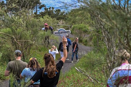 Small Group for Cruisers: Pompeii, Vesuvius + Lunch from Naples